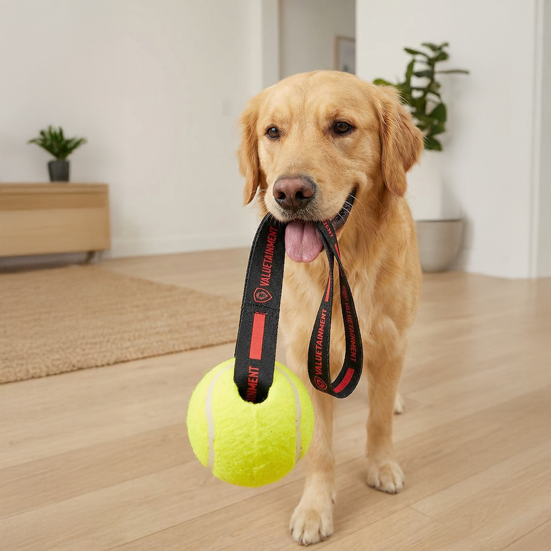 Valuetainment Lion Shield Dog Tennis Ball Sling Toy