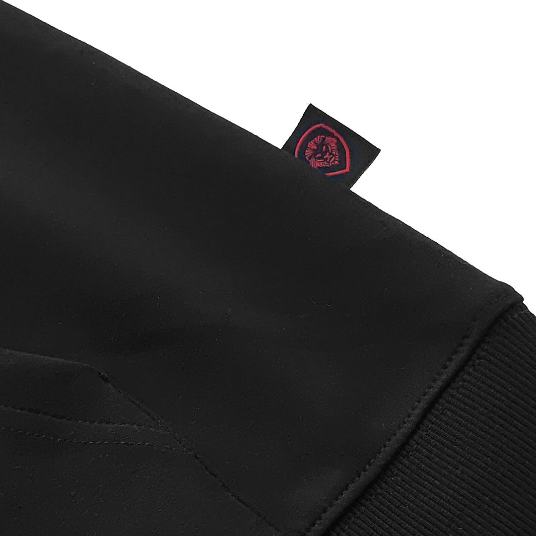 Men's Future Looks Bright Red Lion Shield Premium Pullover Hoodie