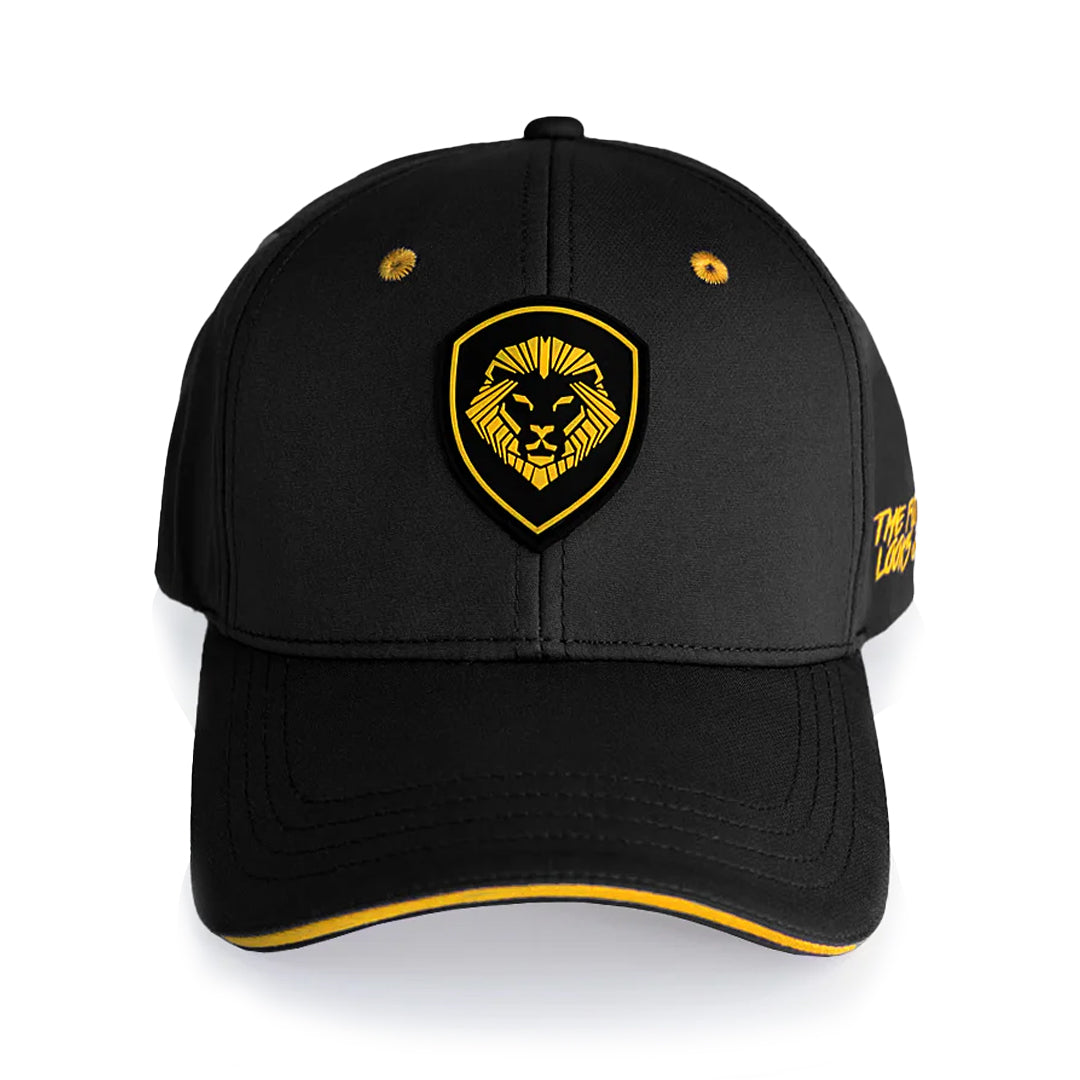 Future Looks Bright Flex Fit Hat - Black & Gold