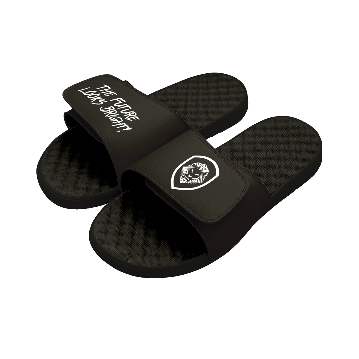 Future Looks Bright Lion Shield Black and White Comfort Slides
