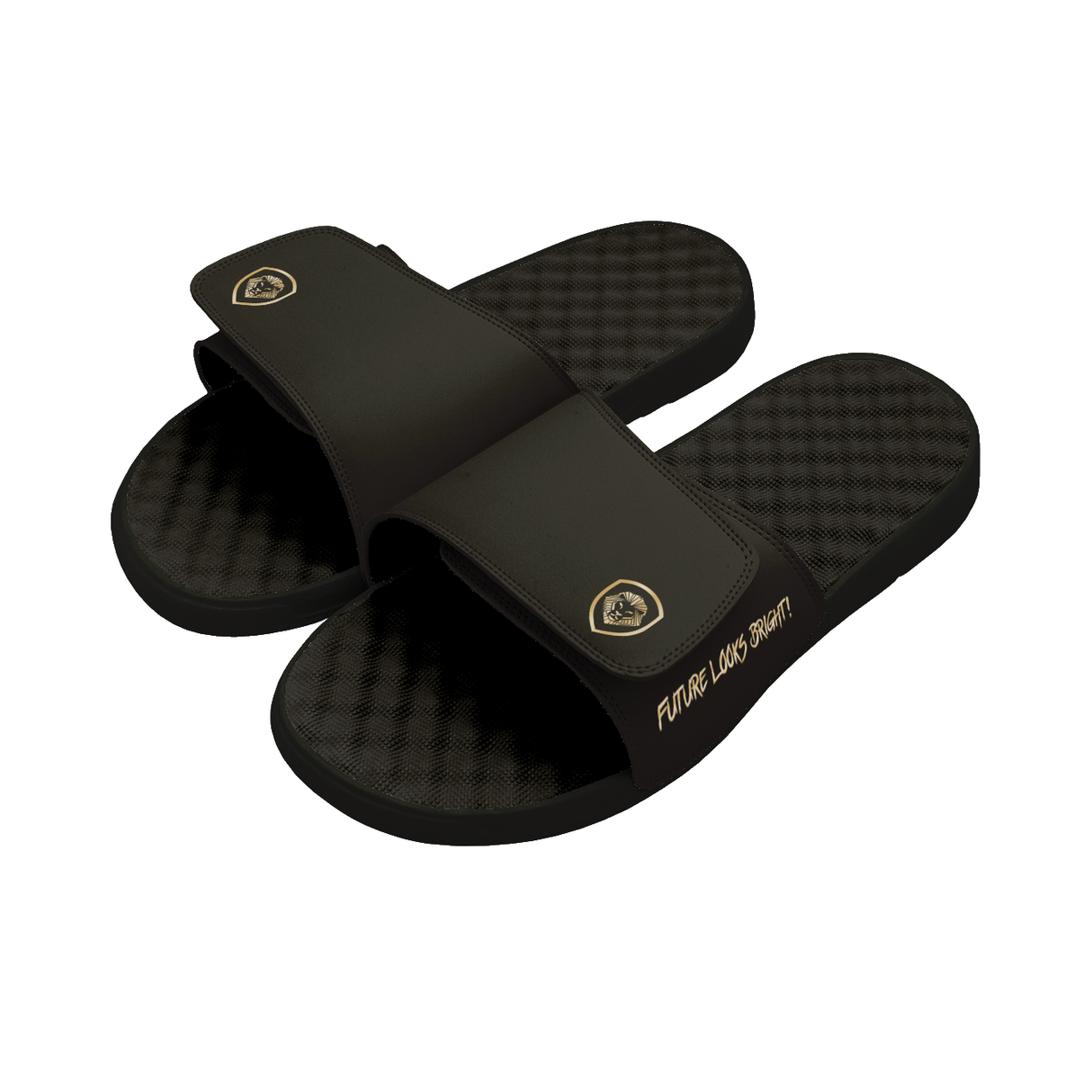 Future Looks Bright Sleek Lion Shield Black and Gold Comfort Slides