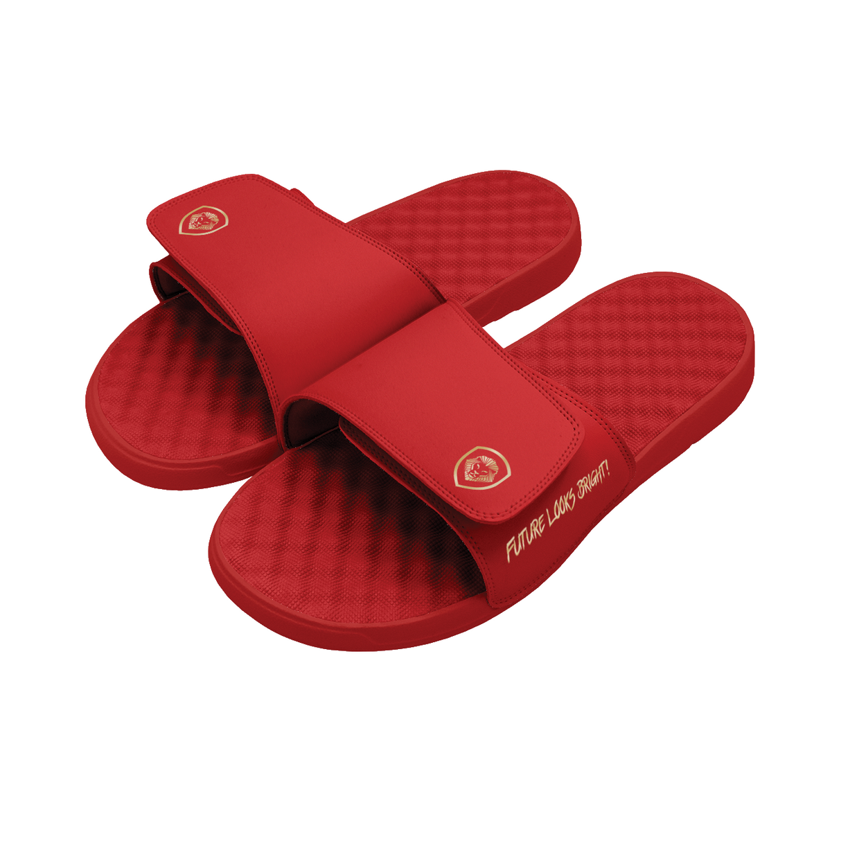 Future Looks Bright Sleek Lion Shield Red and Gold Comfort Slides