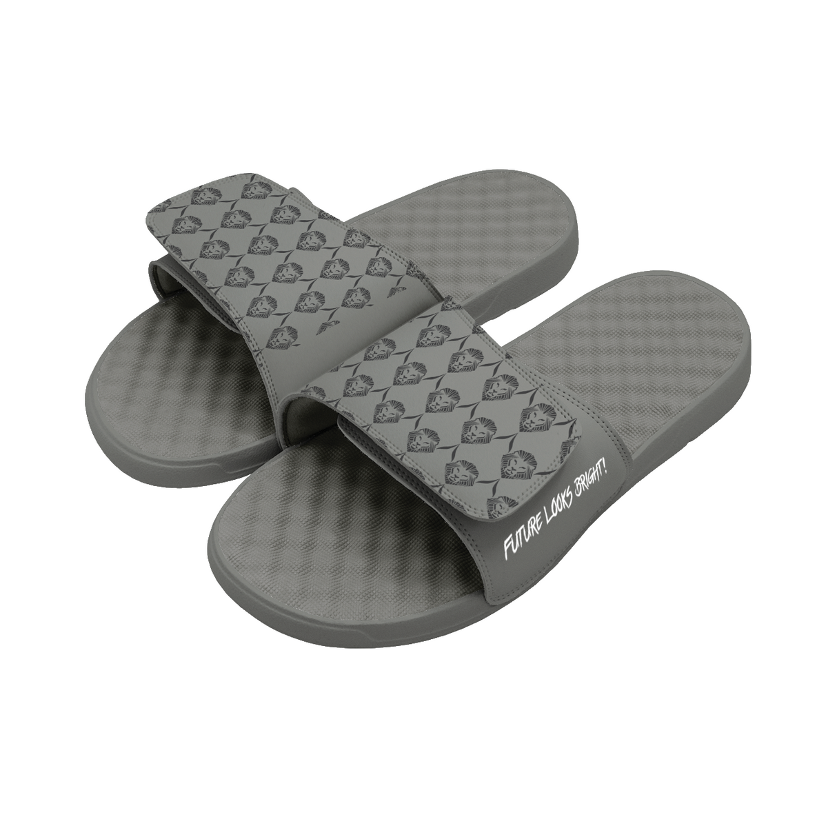 Future Looks Bright Gray Lion Shield Allover Print Comfort Slides