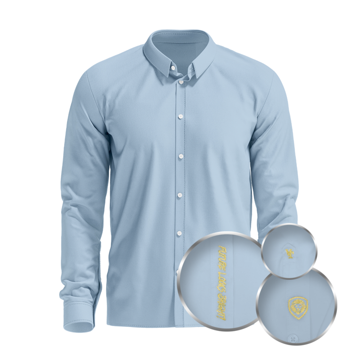 Valuetainment Men's Sky Blue Tencel Long Sleeve Button Down Shirt (Classic Fit)