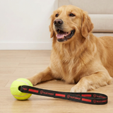 Valuetainment Lion Shield Dog Tennis Ball Sling Toy