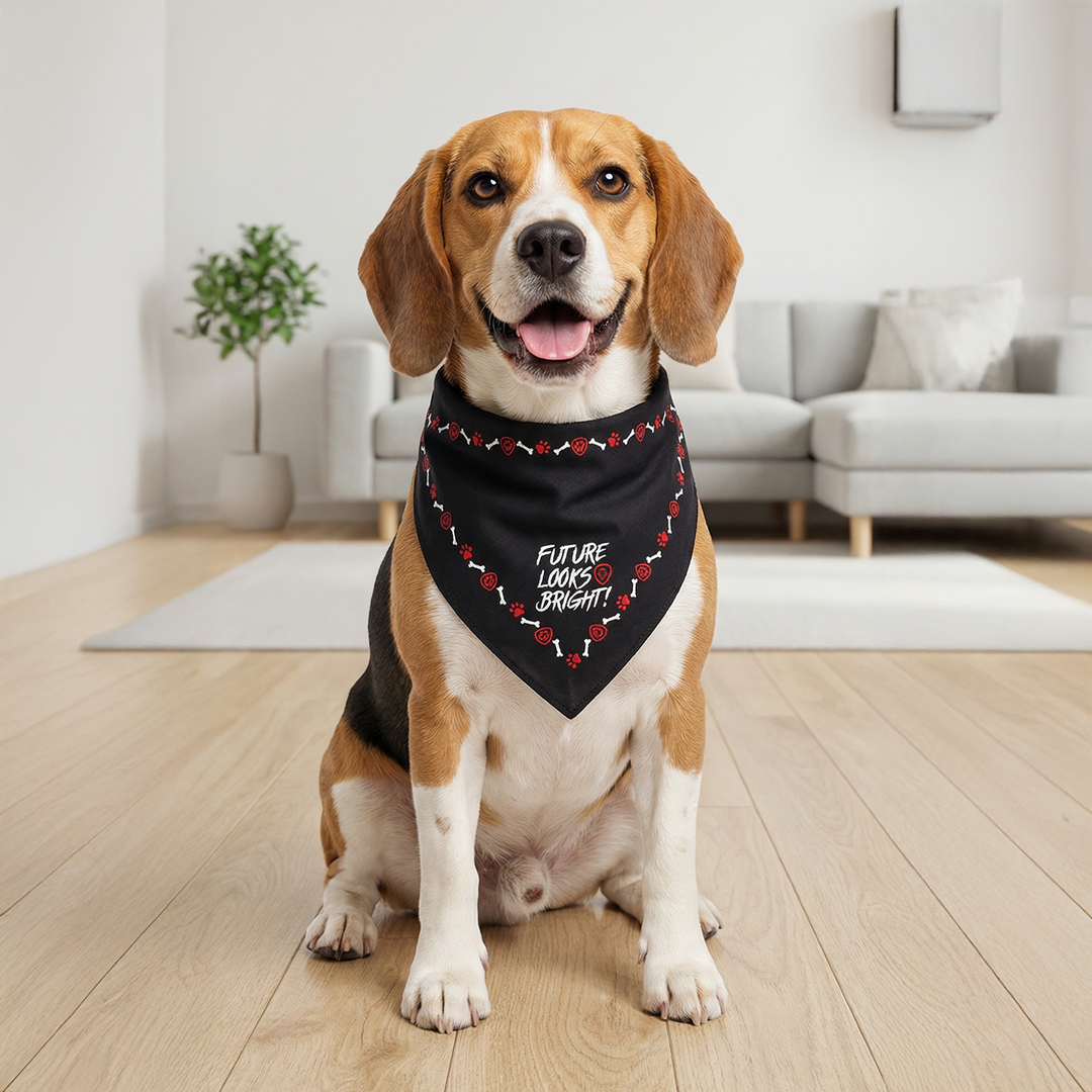 Future Looks Bright Black Dog and Cat Bandanas