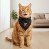 Future Looks Bright Black Dog and Cat Bandanas