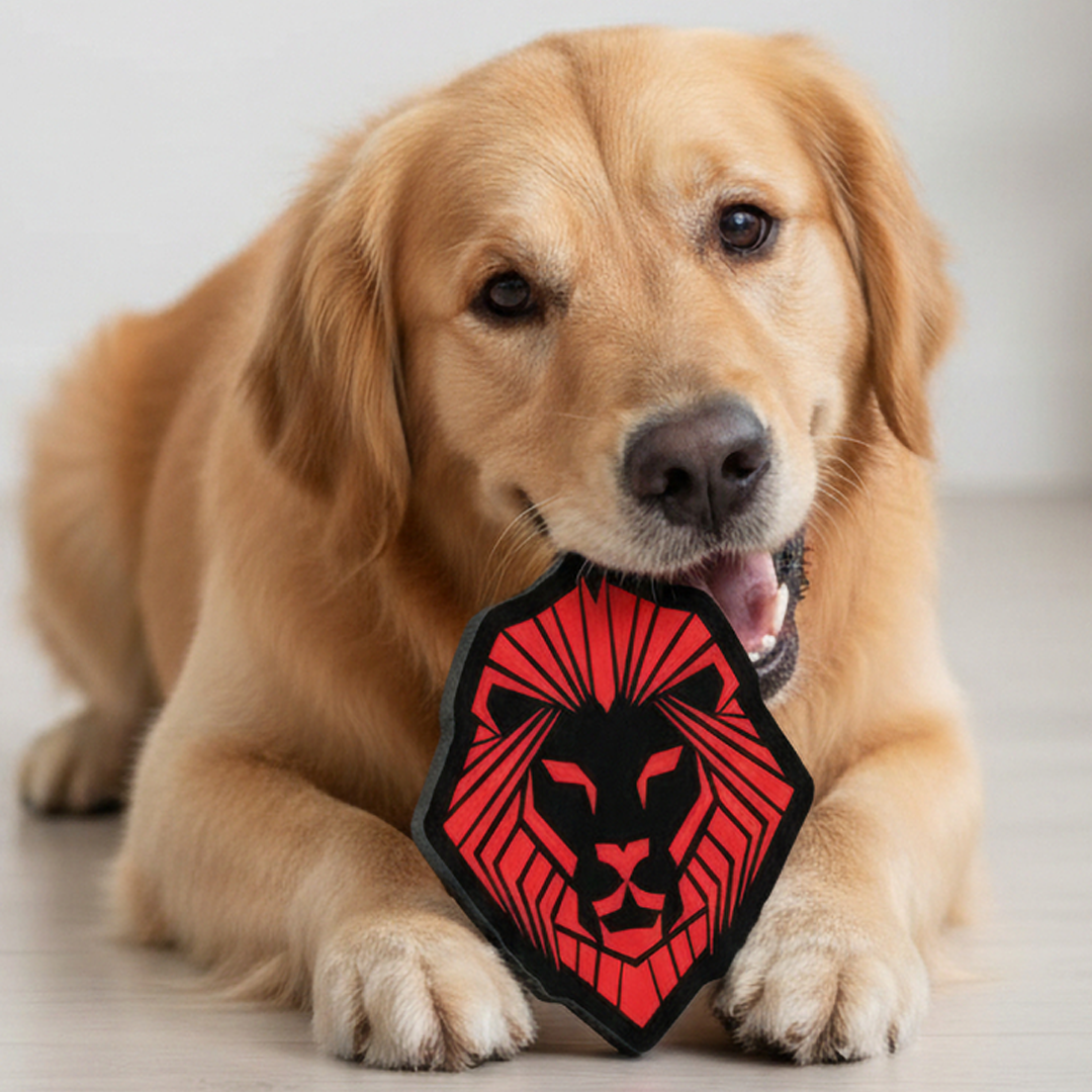 Valuetainment Black and Red Lion Shield Dog Chew Toy