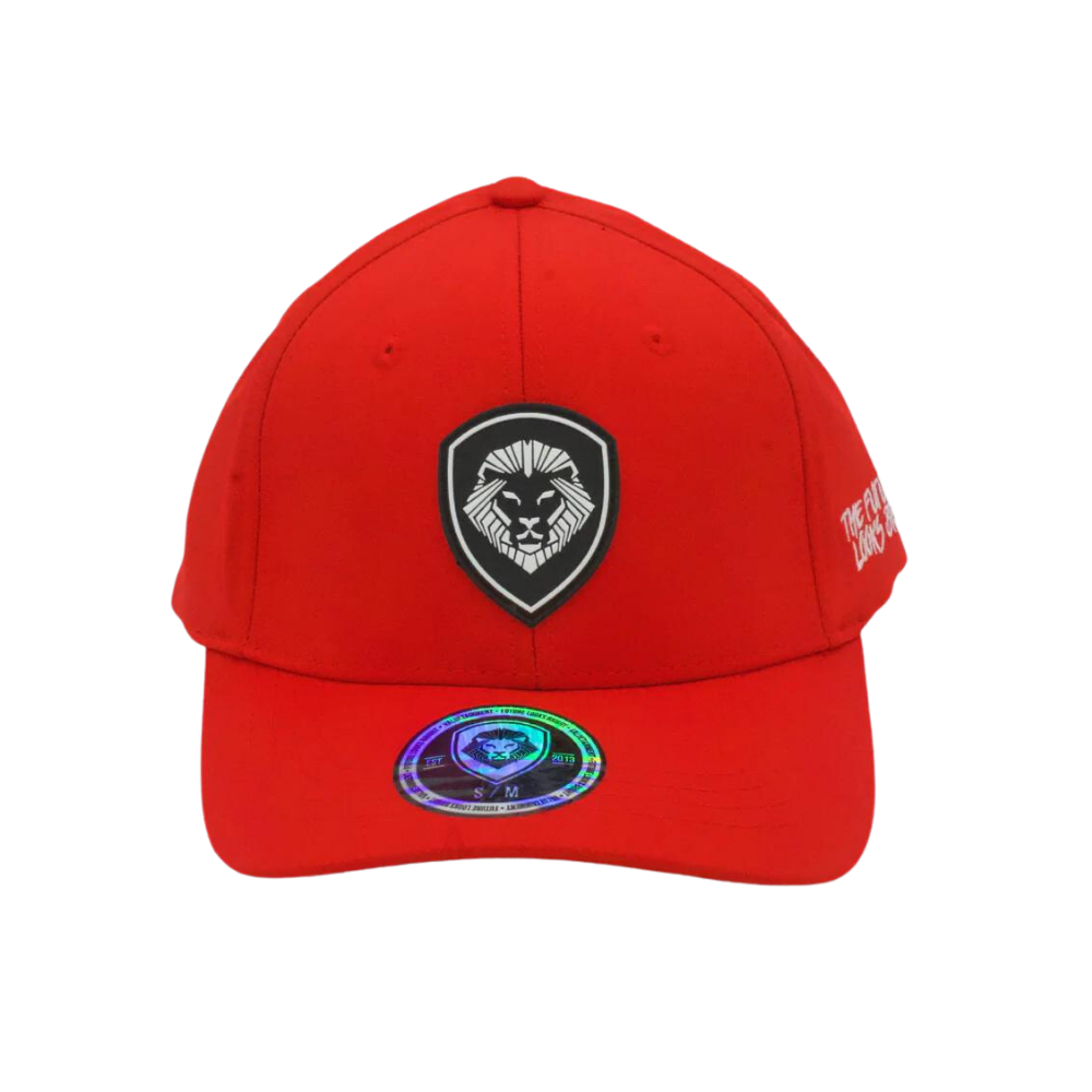 VT Shield Logo Future Looks Bright Red & White Snapback Hat