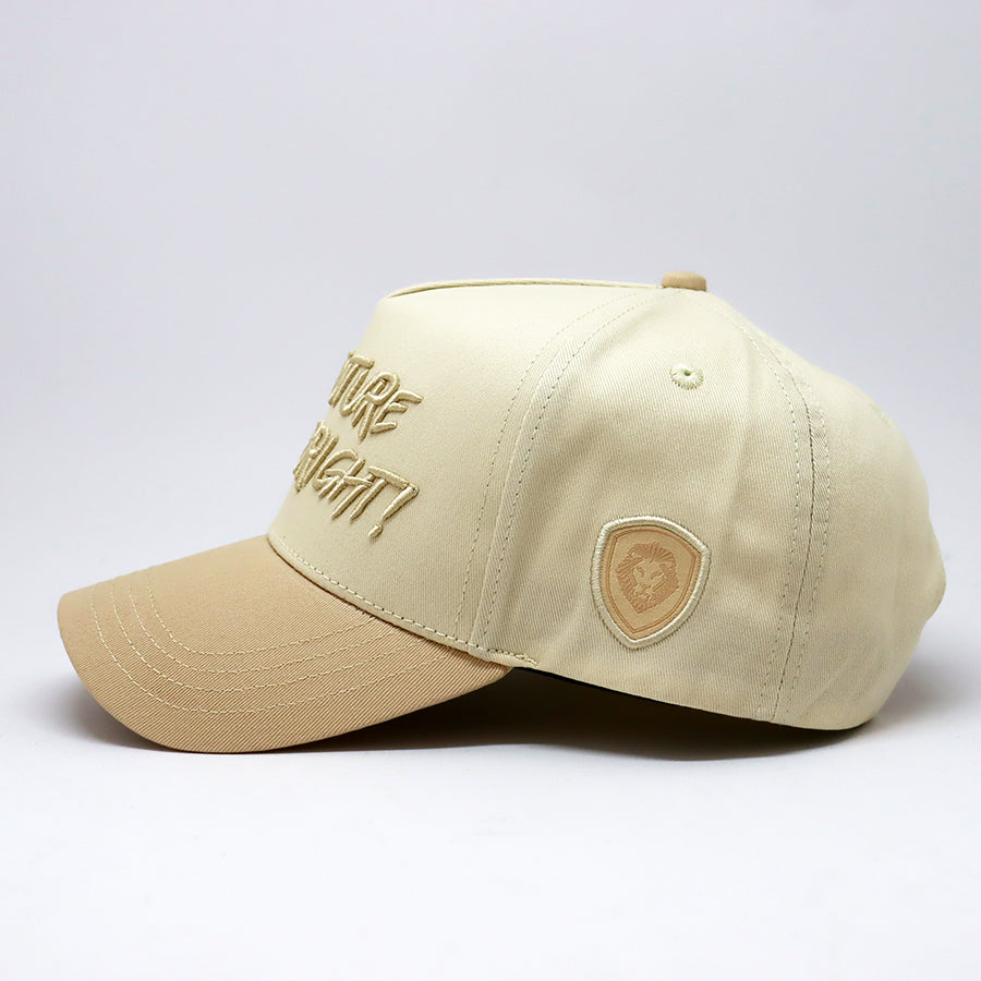 Future Looks Bright Beige Snapback hat