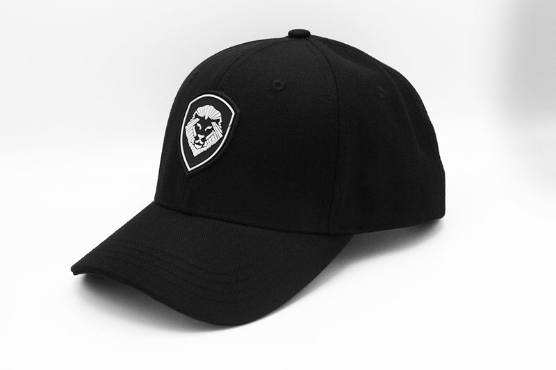 VT Shield Logo Future Looks Bright  Black & White Flex Fit Hat