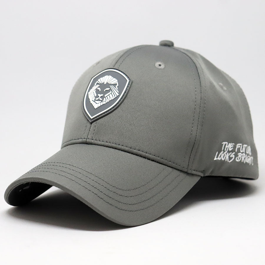 VT Shield Logo Future Looks Bright Grey Snapback Hat