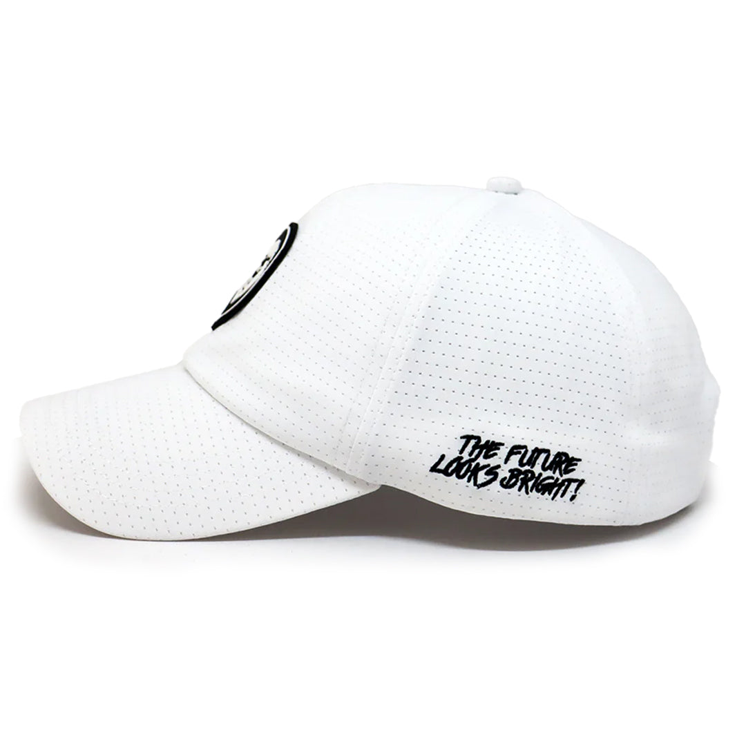 VT Lion Shield Performance Hat