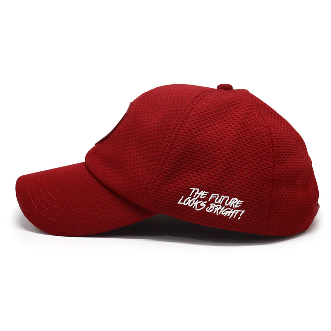 VT Lion Shield Logo Velcro Performance Hat