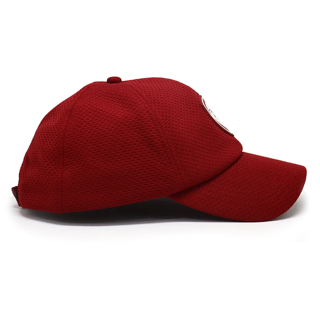 VT Lion Shield Logo Velcro Performance Hat