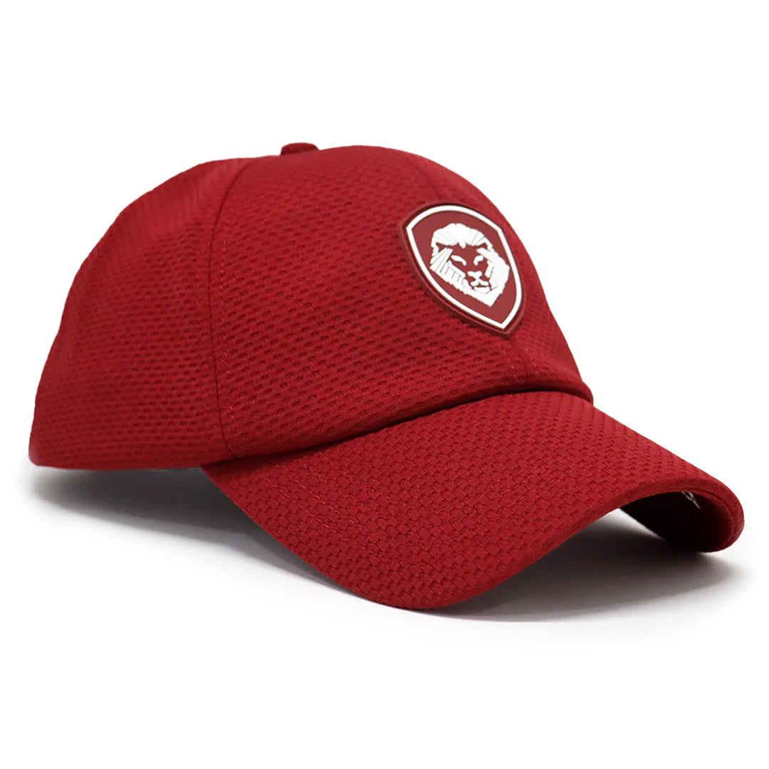 VT Lion Shield Logo Velcro Performance Hat