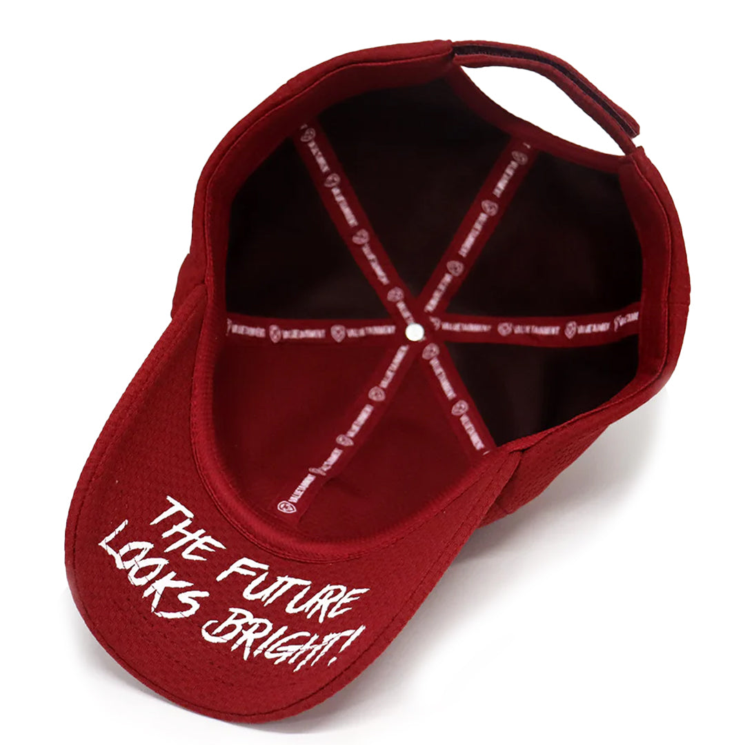 VT Lion Shield Logo Velcro Performance Hat
