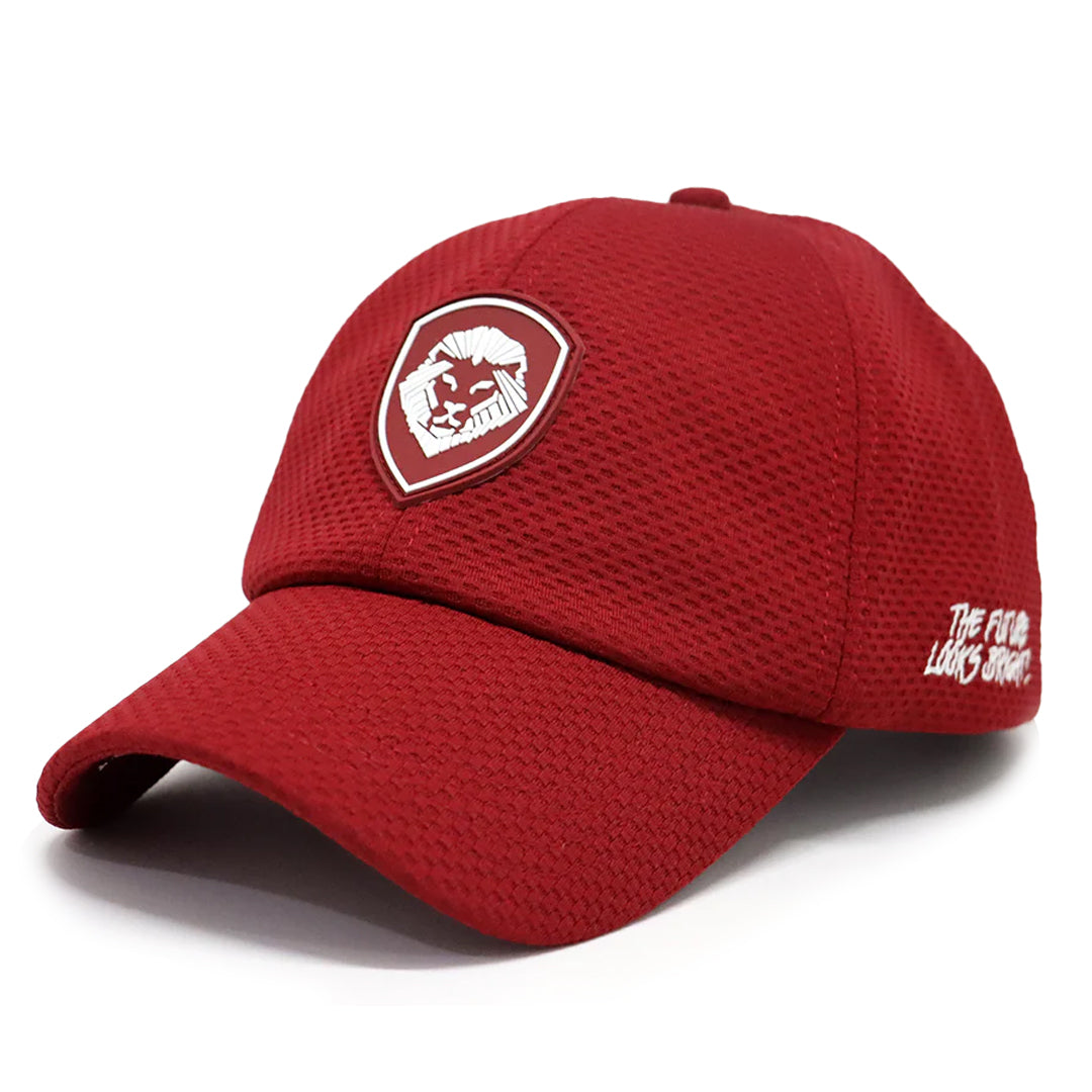 VT Lion Shield Logo Velcro Performance Hat