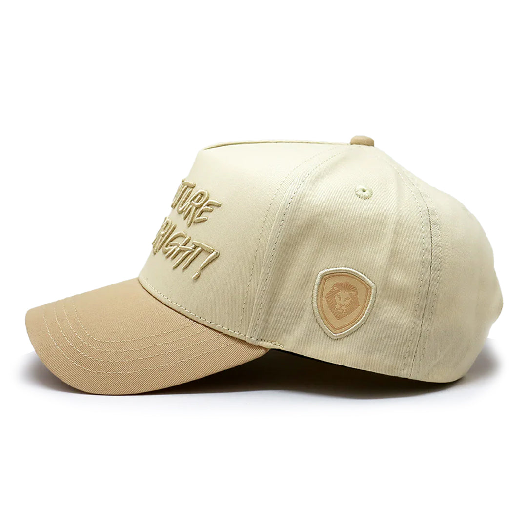 VT Future Looks Bright Hat