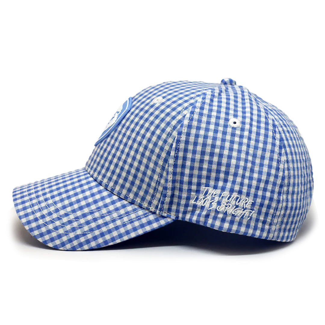 VT Shield Future Looks Bright Sky Blue Gingham Check Snapback Hat