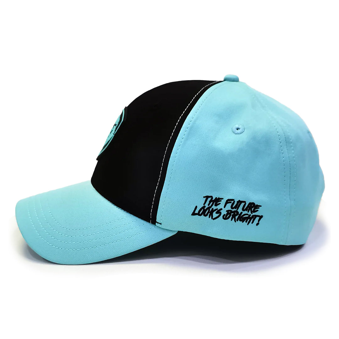VT Lion Shield Logo Hat
