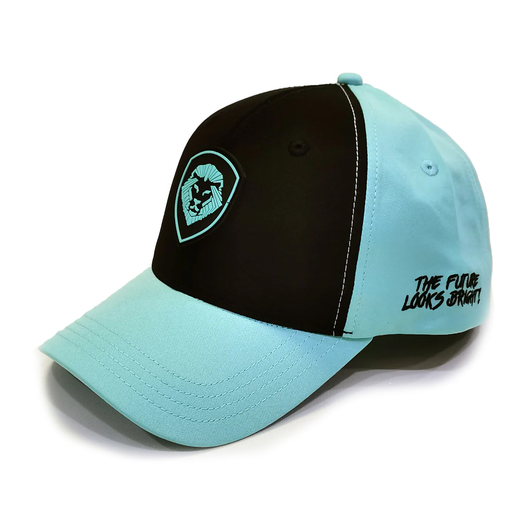 VT Lion Shield Logo Hat
