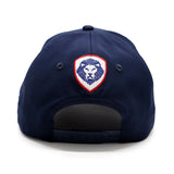 Future Looks Bright Valuetainment Flag Navy Snapback Hat