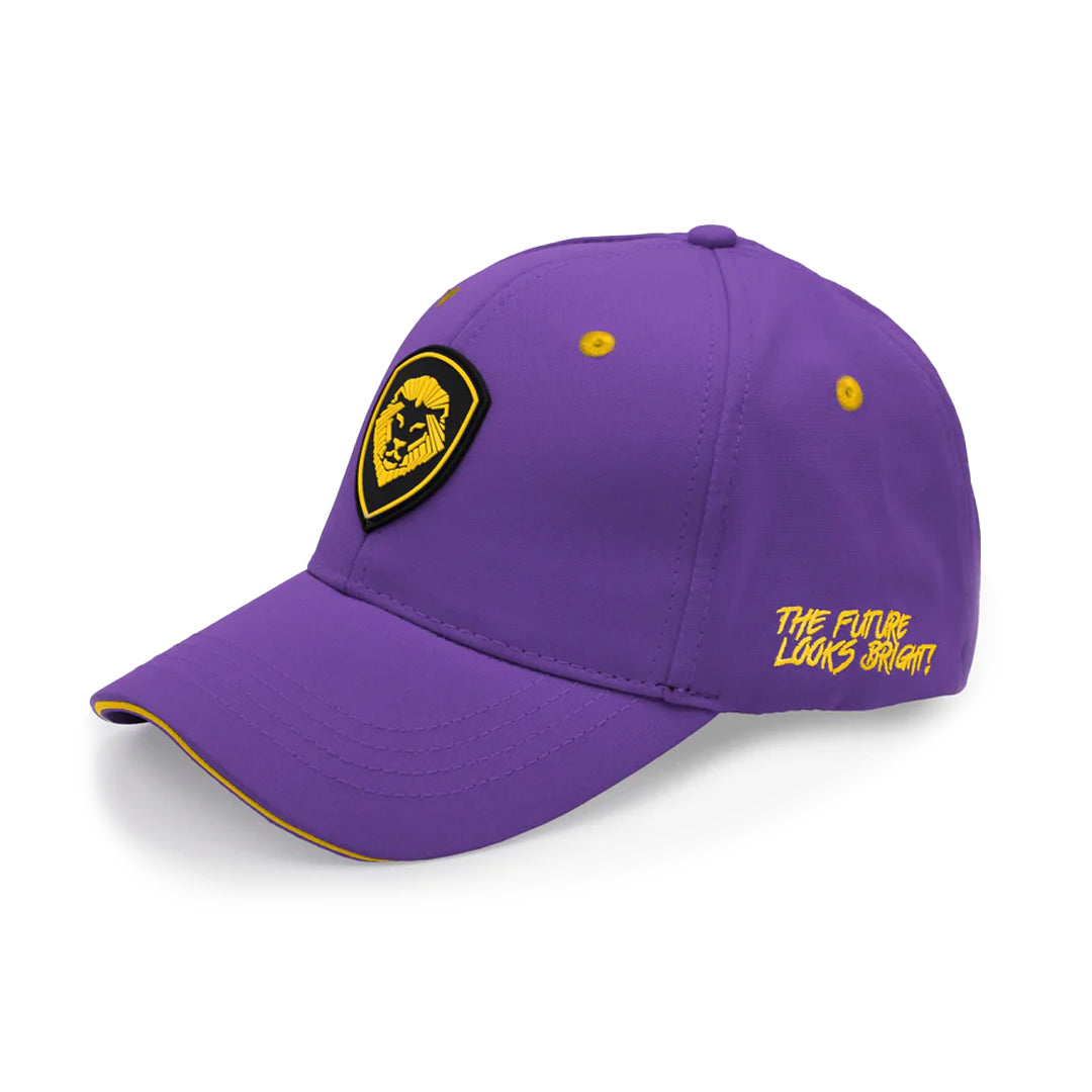 Vulfpeck Band Hat 紫 my-hat-arrived-today-v0-