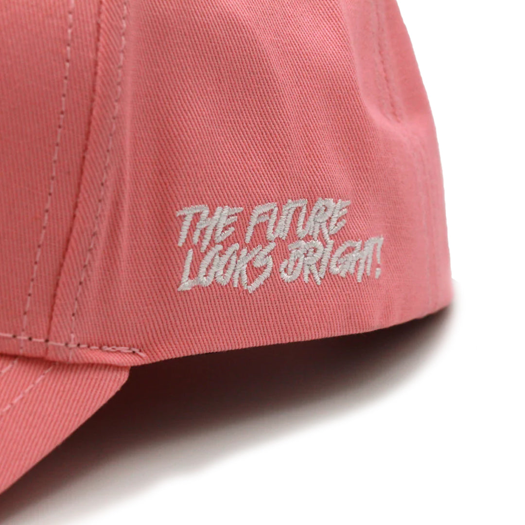 VT Lion Shield Logo Hat
