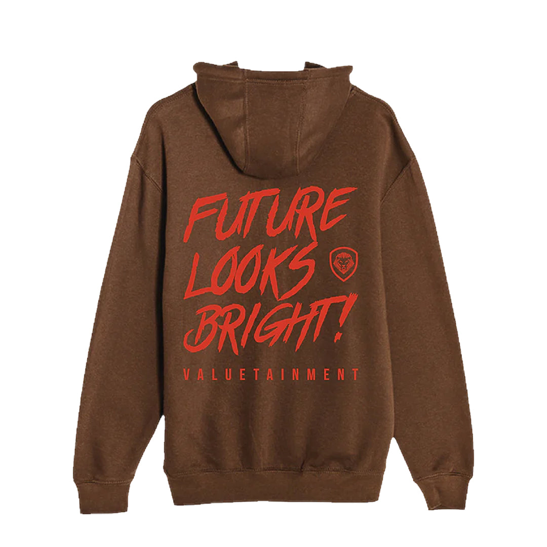 Future Looks Bright Pullover Hoodie - Chestnut