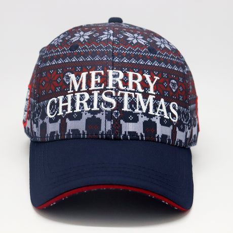 Future Looks Bright Holiday Knit Pattern Snapback Hat