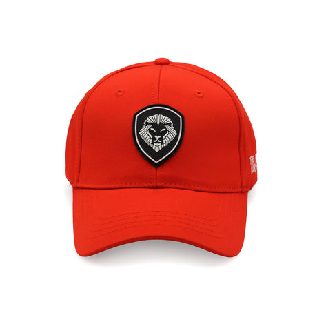 VT Lion Shield Logo Future Looks Bright Red & White Snapback Hat