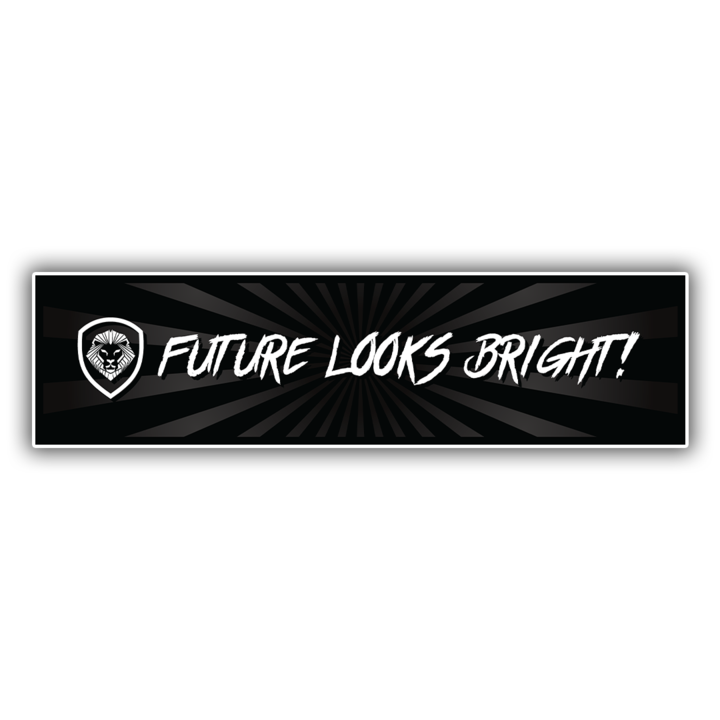 Future Looks Bright Bumper Sticker 12"x3"