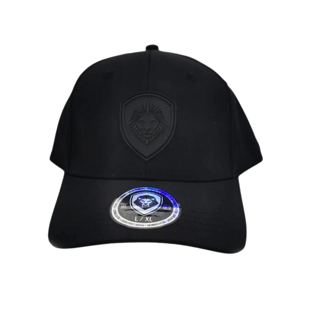 VT Shield Logo Future Looks Bright Black & Black Flex Fit Hat