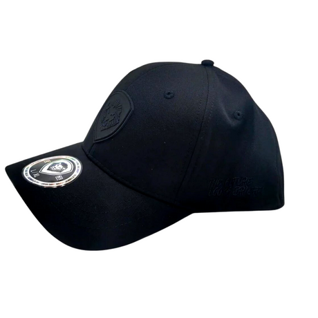 VT Shield Logo Future Looks Bright Black & Black Flex Fit Hat