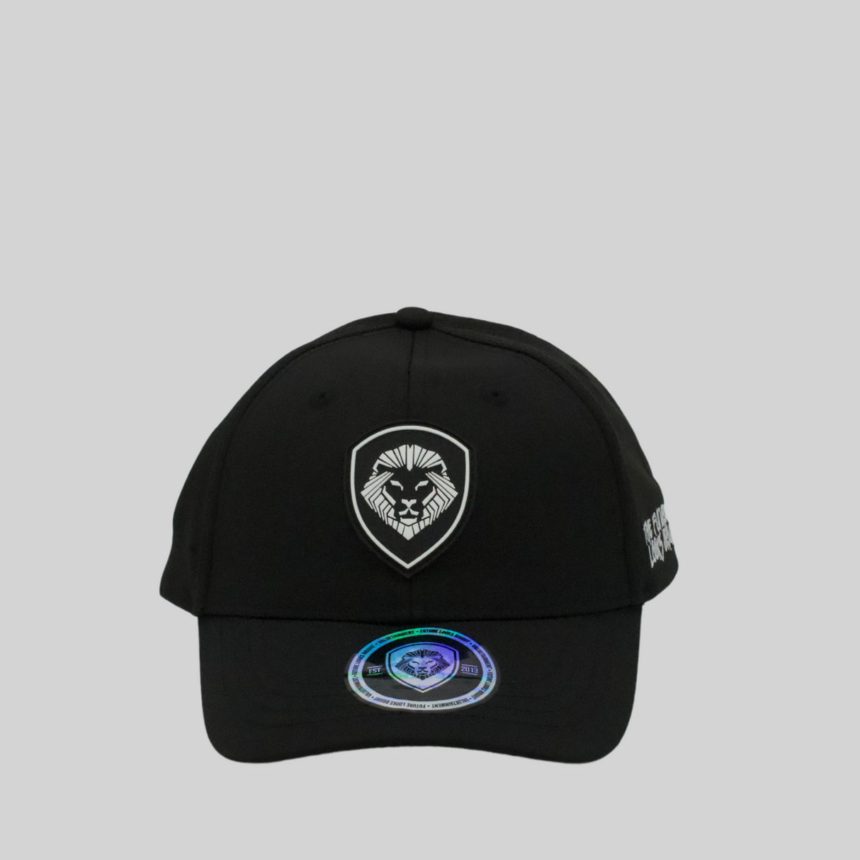 Kids VT Shield Logo Future Looks Bright Black Snapback Hat