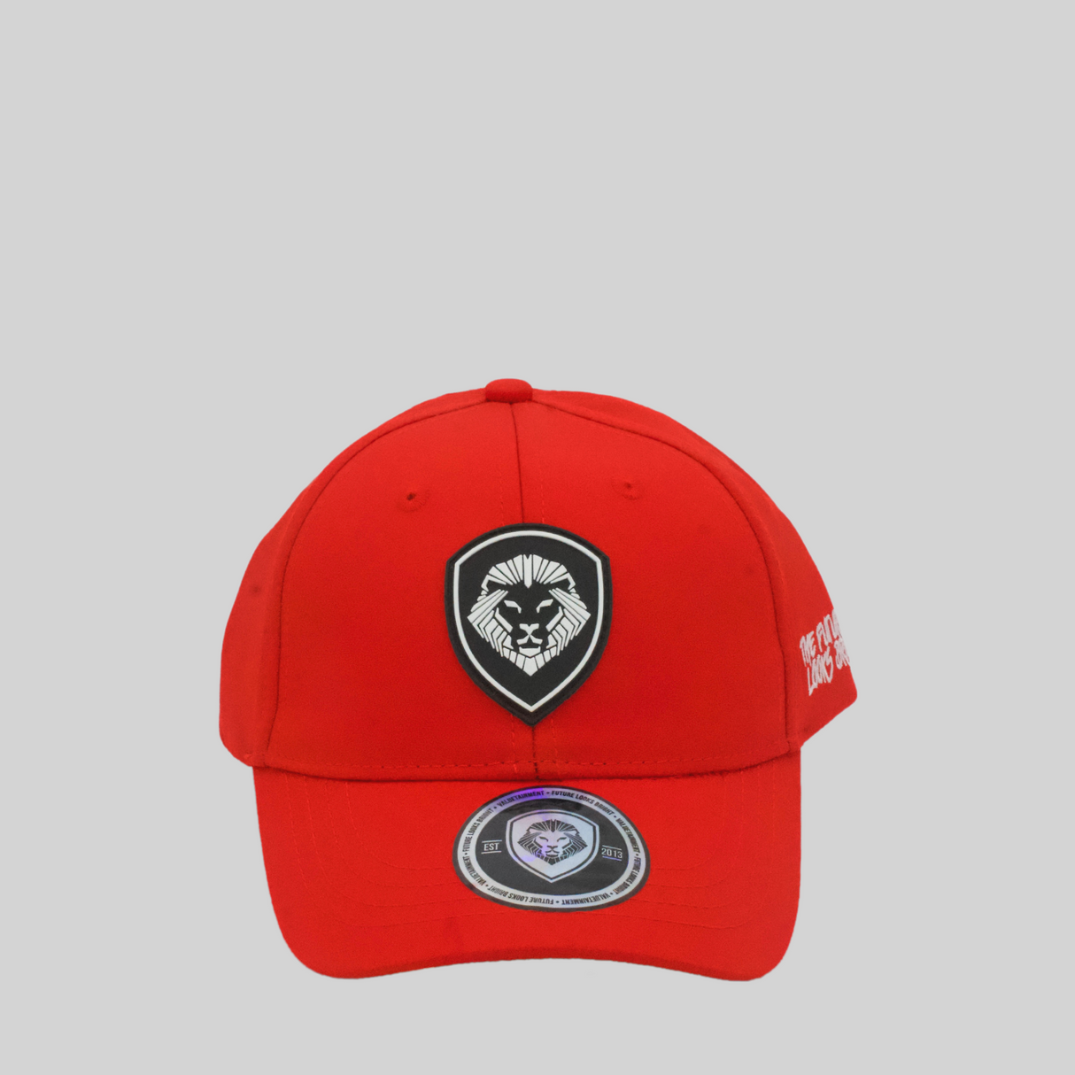 Kids VT Shield Logo Future Looks Bright Red Snapback Hat